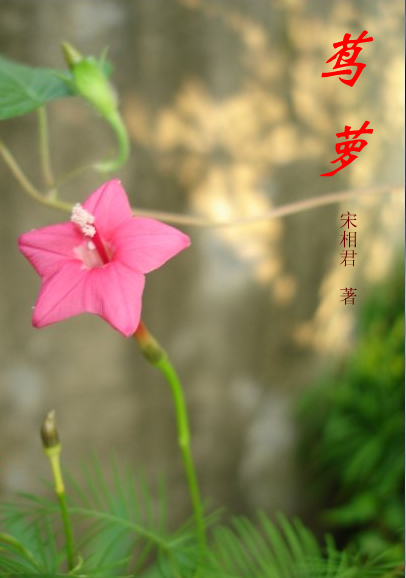 茑萝
