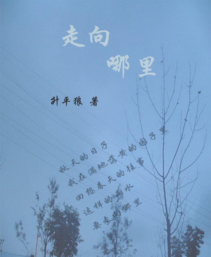 走向哪里