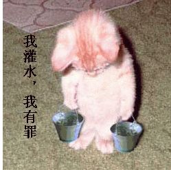 极品女帝