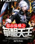都市纵横之草根天王