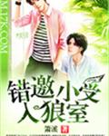 错邀小受入狼室