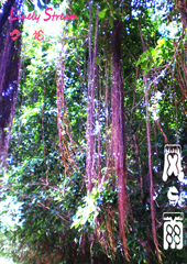 风与雨
