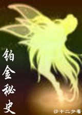 HP铂金秘史