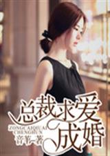 总裁求爱成婚