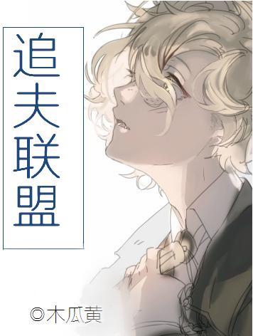 追夫联盟