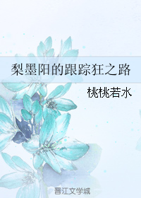 梨墨阳的跟踪狂之路